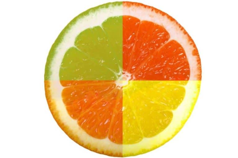 Антиоксиданти, витамини и минерали – важни вещества за имунната система Антиоксиданти