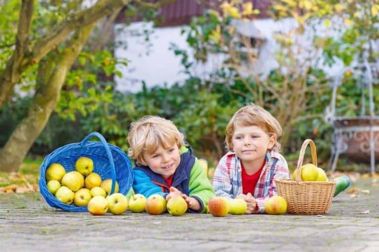 Значение на храненето в борбата с вирусните респираторни заболявания