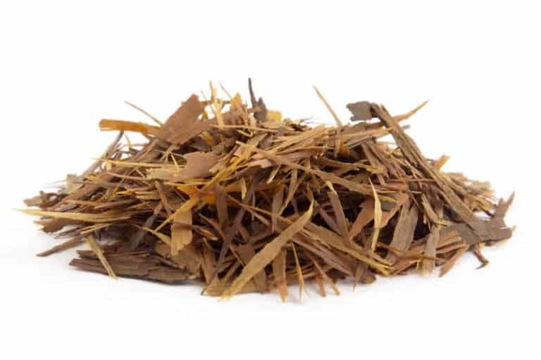 мравчено дърво