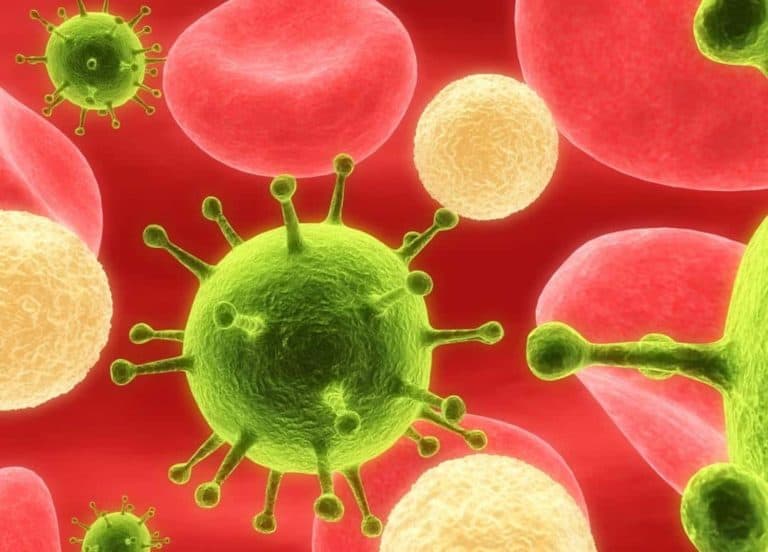 Роля на имунната система – „армията“, която ни пази роля на имунната система