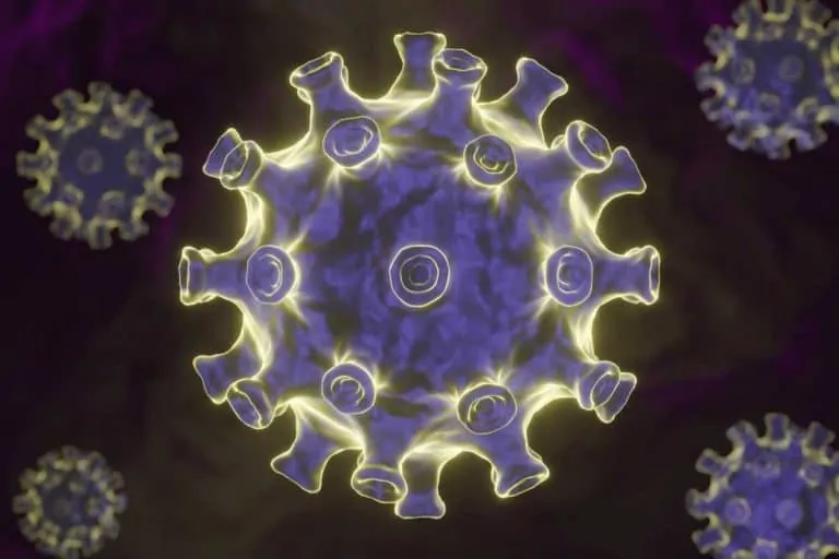 коронавирус имунна система