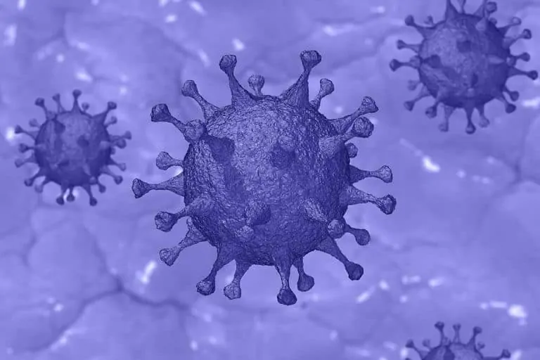 Въпроси и отговори за коронавируса