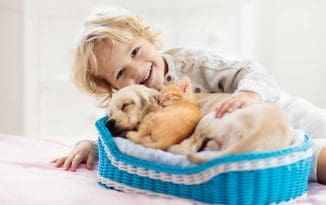 Може ли домашни любимци да пренасят новия коронавирус? коронавирус домашни любимци
