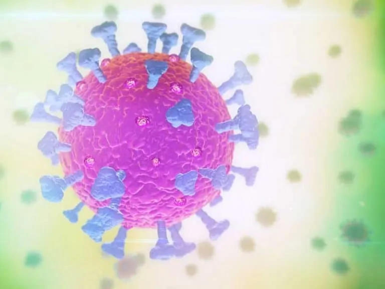 коронавирус антитела