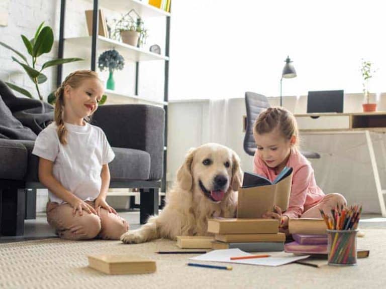 Организмът на нашите деца реагира различно на COVID-19 covid деца