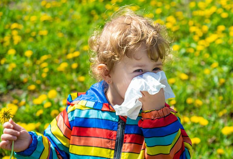 Алергии и тяхното влияние върху имунитета Алергии