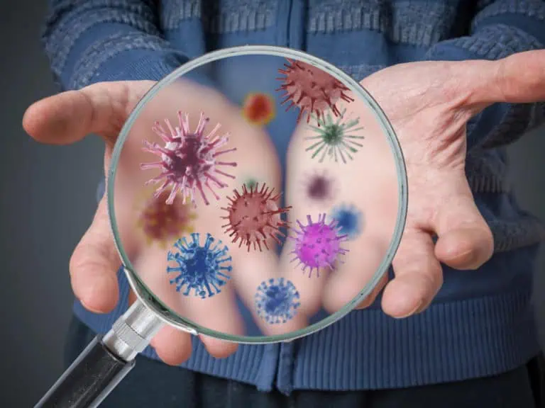 Вируси през есента – за кои да внимаваме? вируси през есента