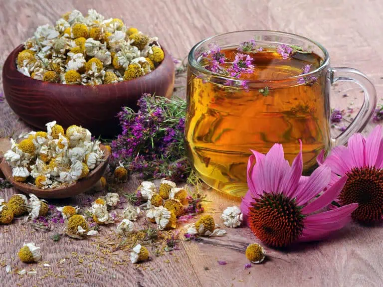 Домашни лекове при кашлица – облекчете я навреме! Домашни лекове при кашлица