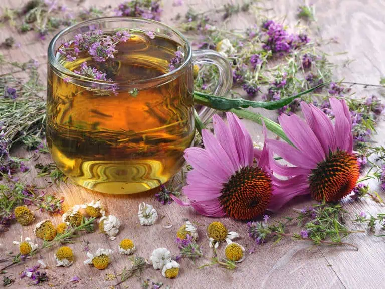 Как да имаме по-здрави дихателни пътища? по-здрави дихателни пътища